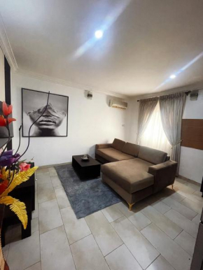 Modern 1BR Apartment Near Airport - 247 Power, Free Wifi